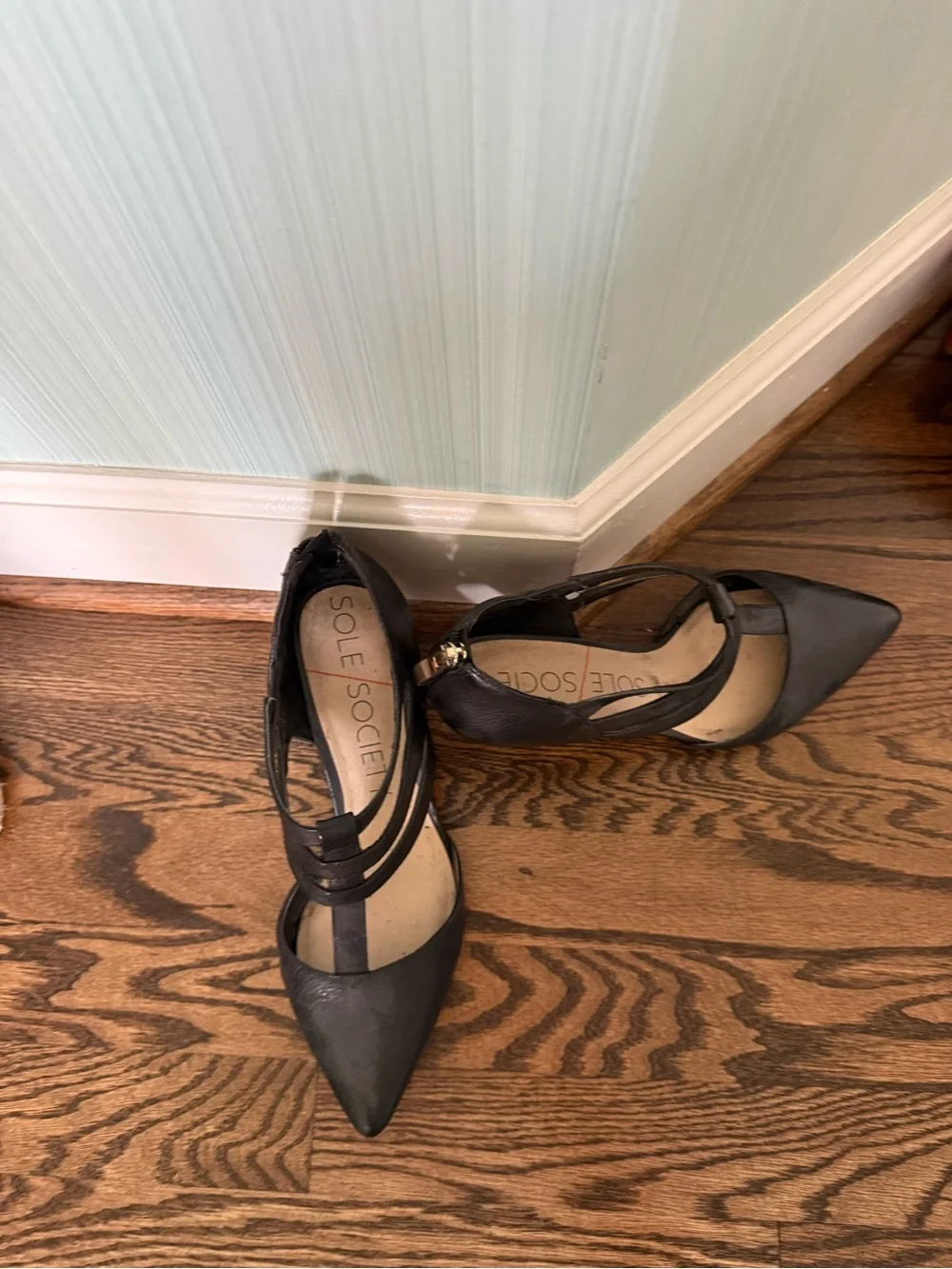 Sole Society chic pointed